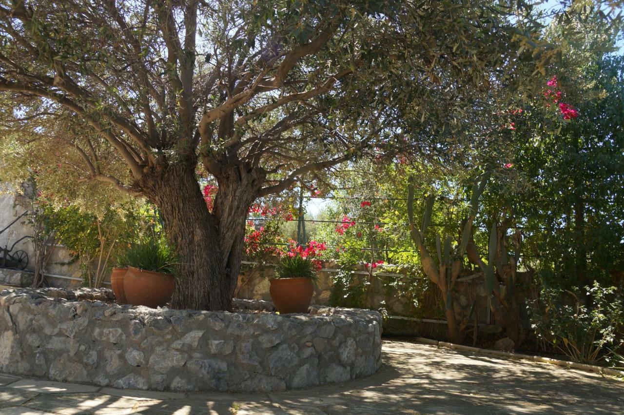 Villa Layla Kyrenia  Exterior photo
